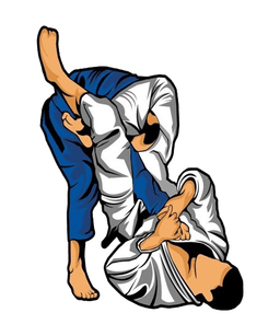 CheckMat Pedra Branca Jiu Jitsu